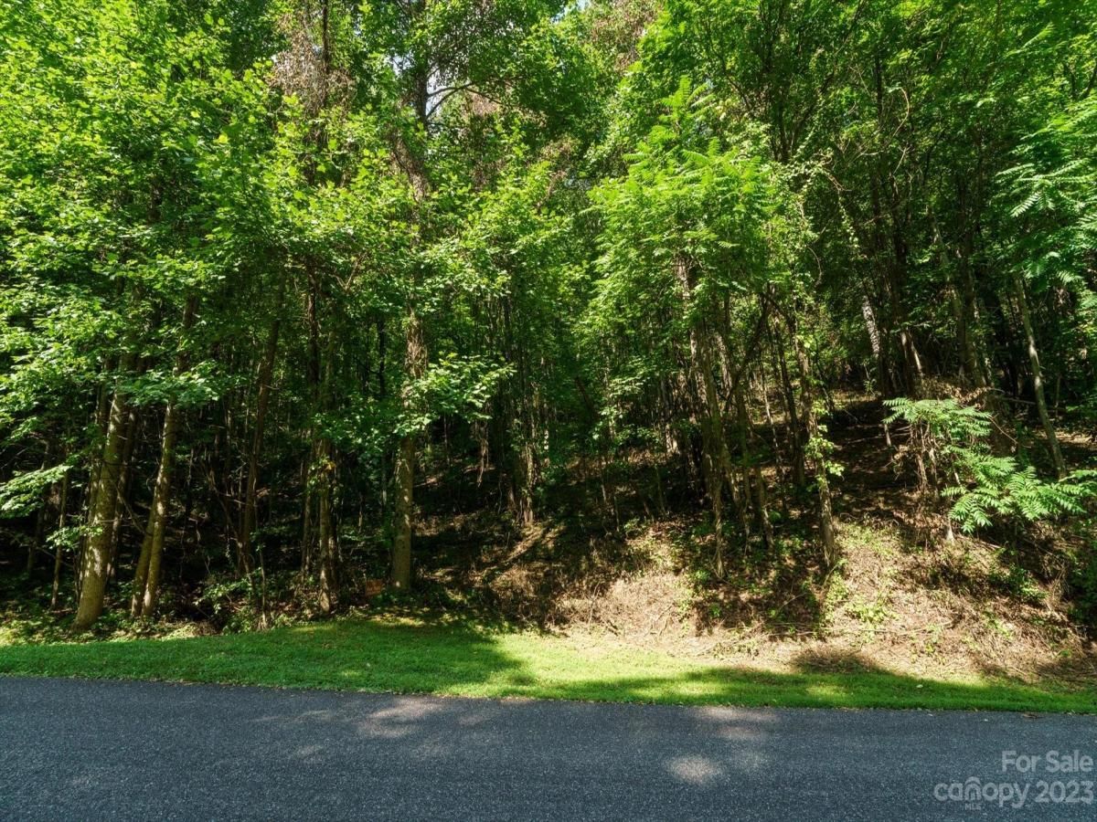 MLS #CAR4021786 image #14