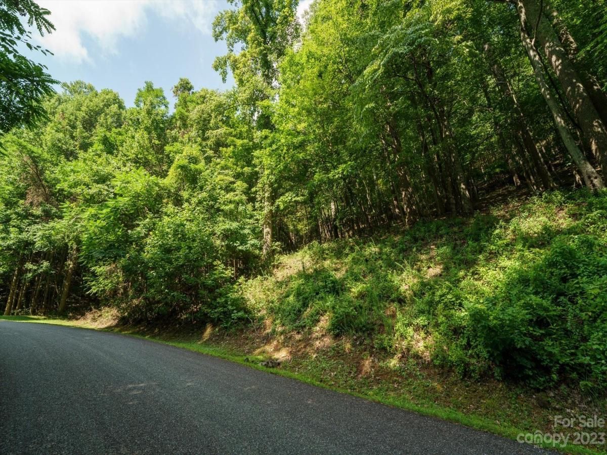 MLS #CAR4021786 image #15