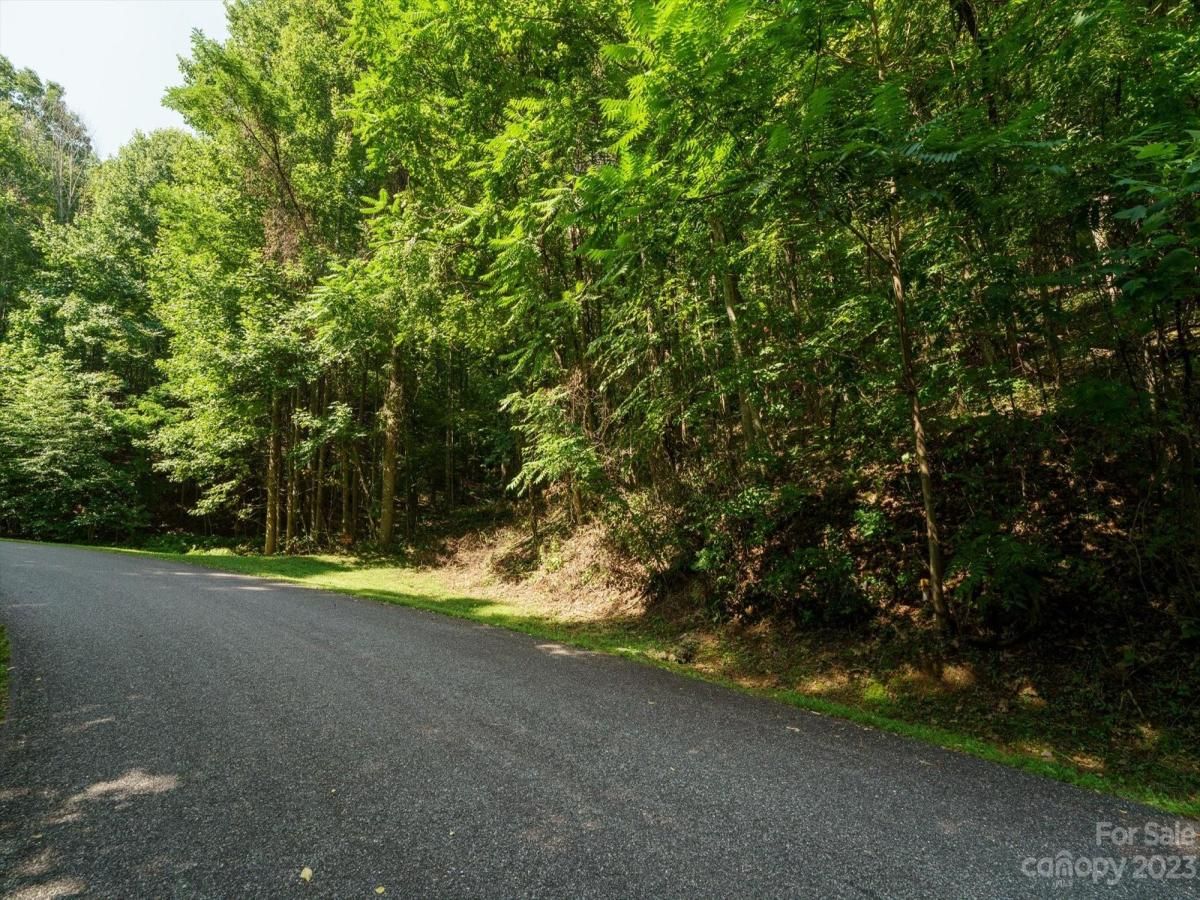 MLS #CAR4021786 image #16