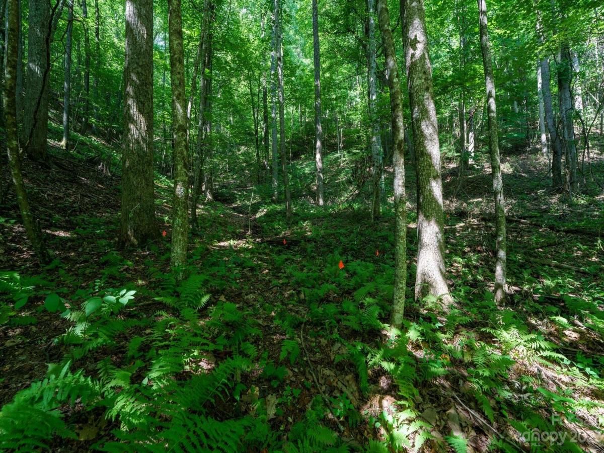 MLS #CAR4021786 image #17