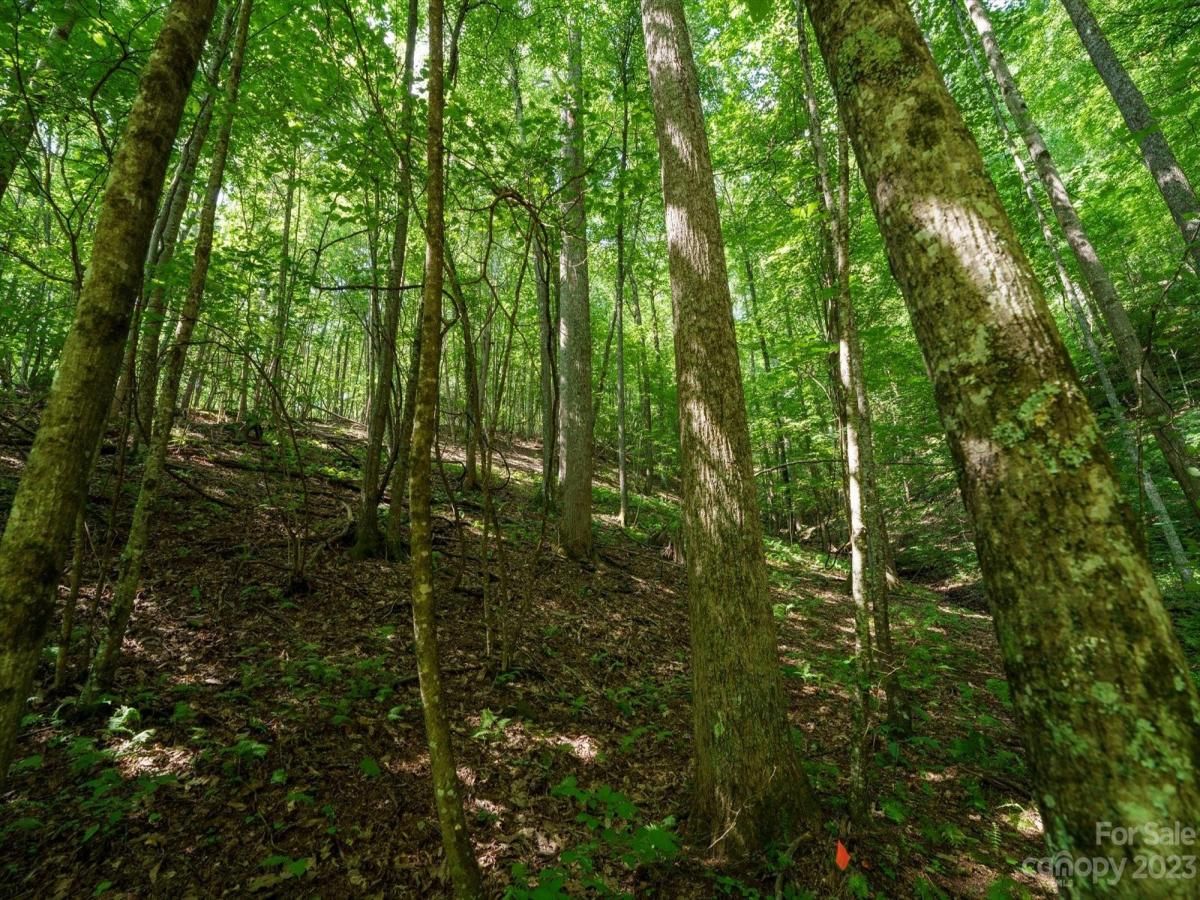 MLS #CAR4021786 image #19