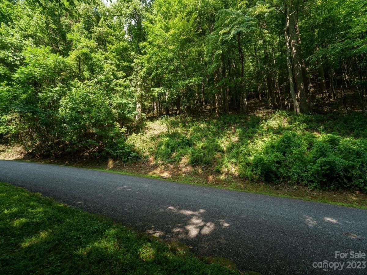 MLS #CAR4021786 image #8