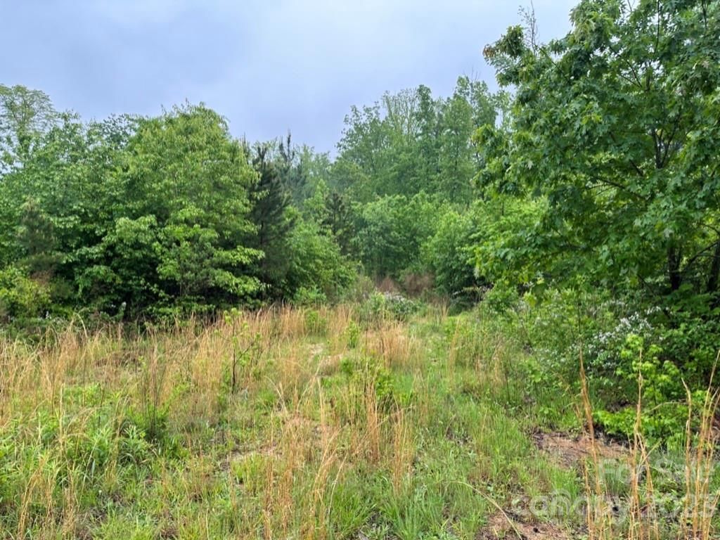 MLS #CAR4025813 image #27