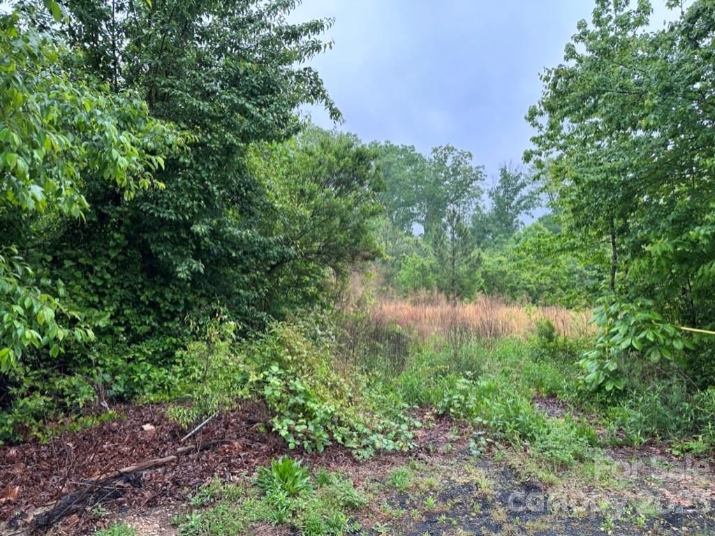 MLS #CAR4025829 image #38