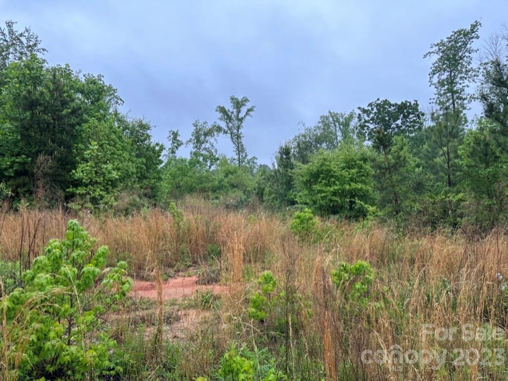 MLS #CAR4025893 image #10