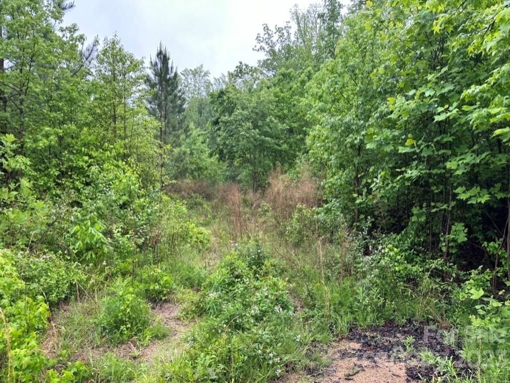 MLS #CAR4025893 image #24