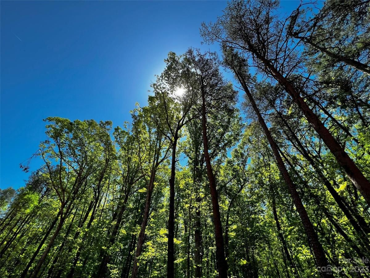 MLS #CAR4028597 image #11