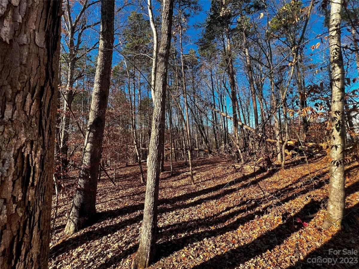 MLS #CAR4028597 image #3