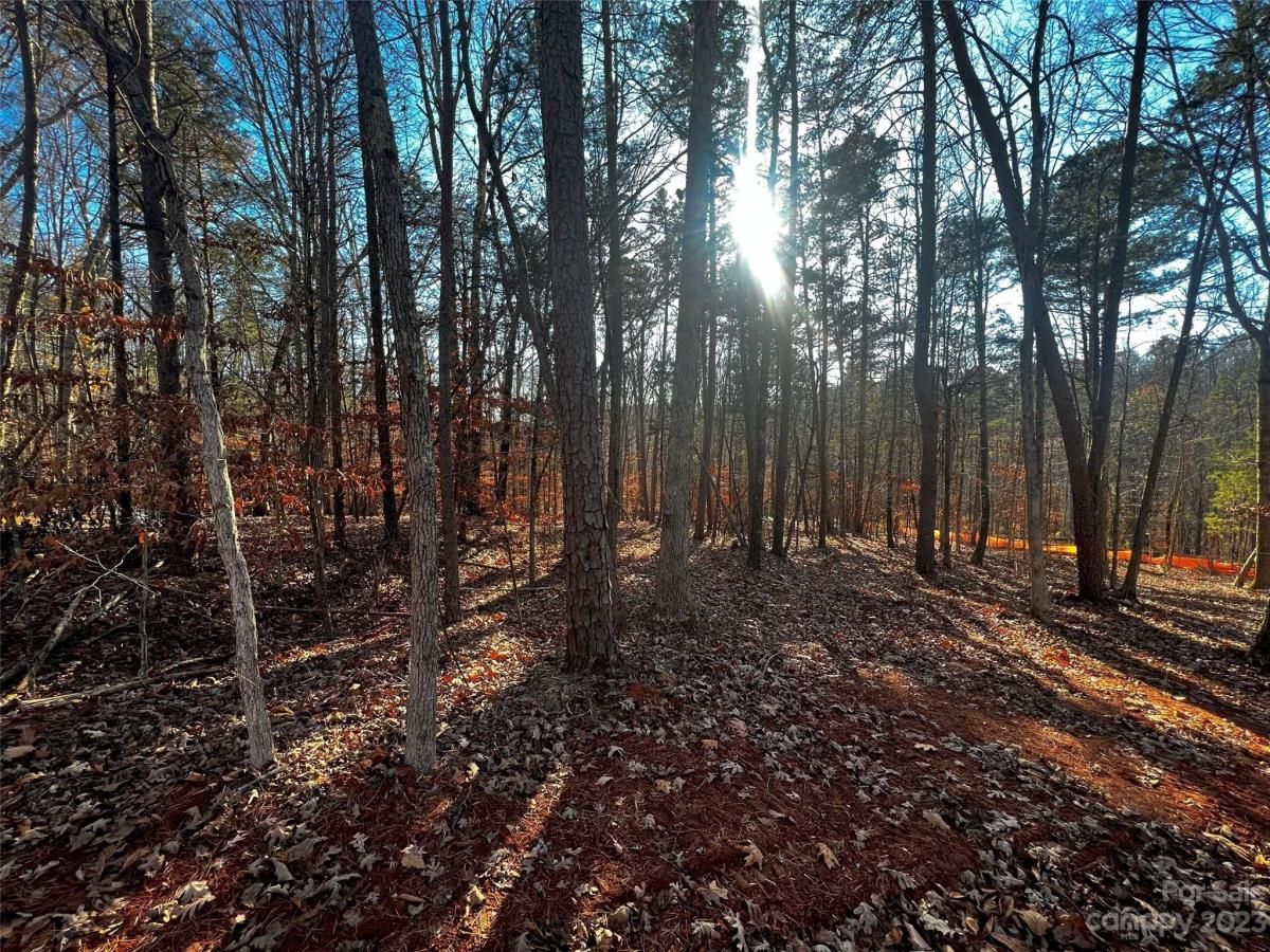 MLS #CAR4028948 image #1