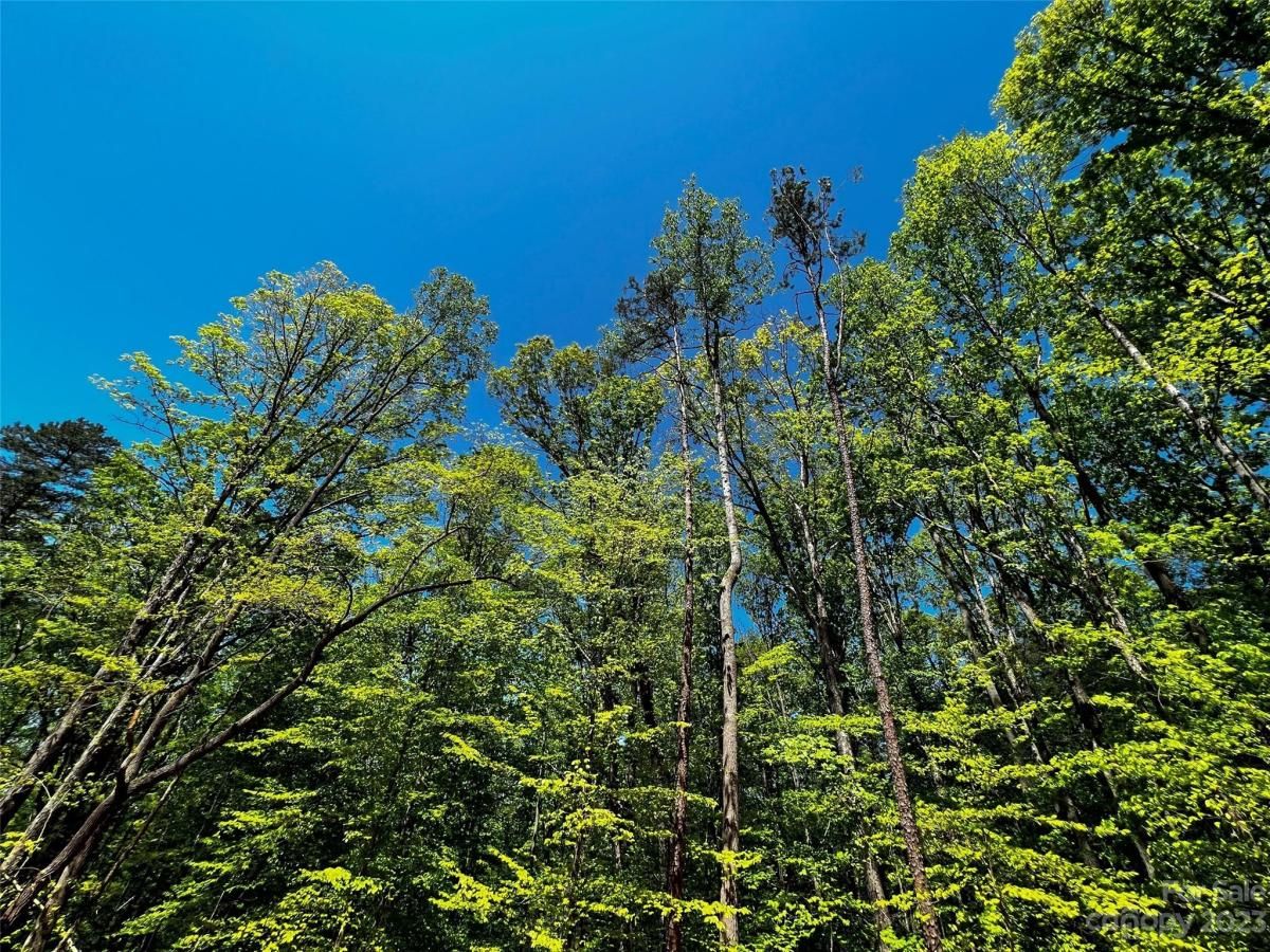 MLS #CAR4028948 image #14