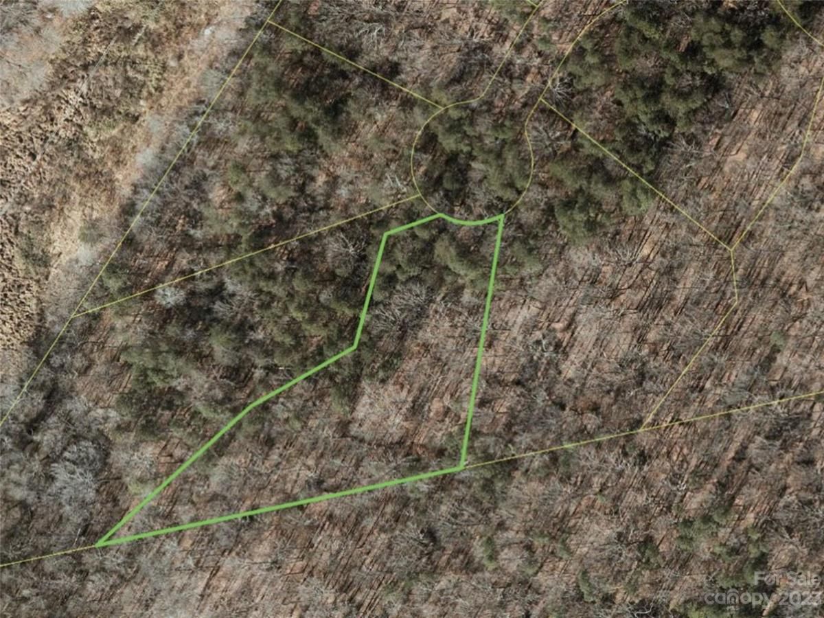 MLS #CAR4028948 image #4