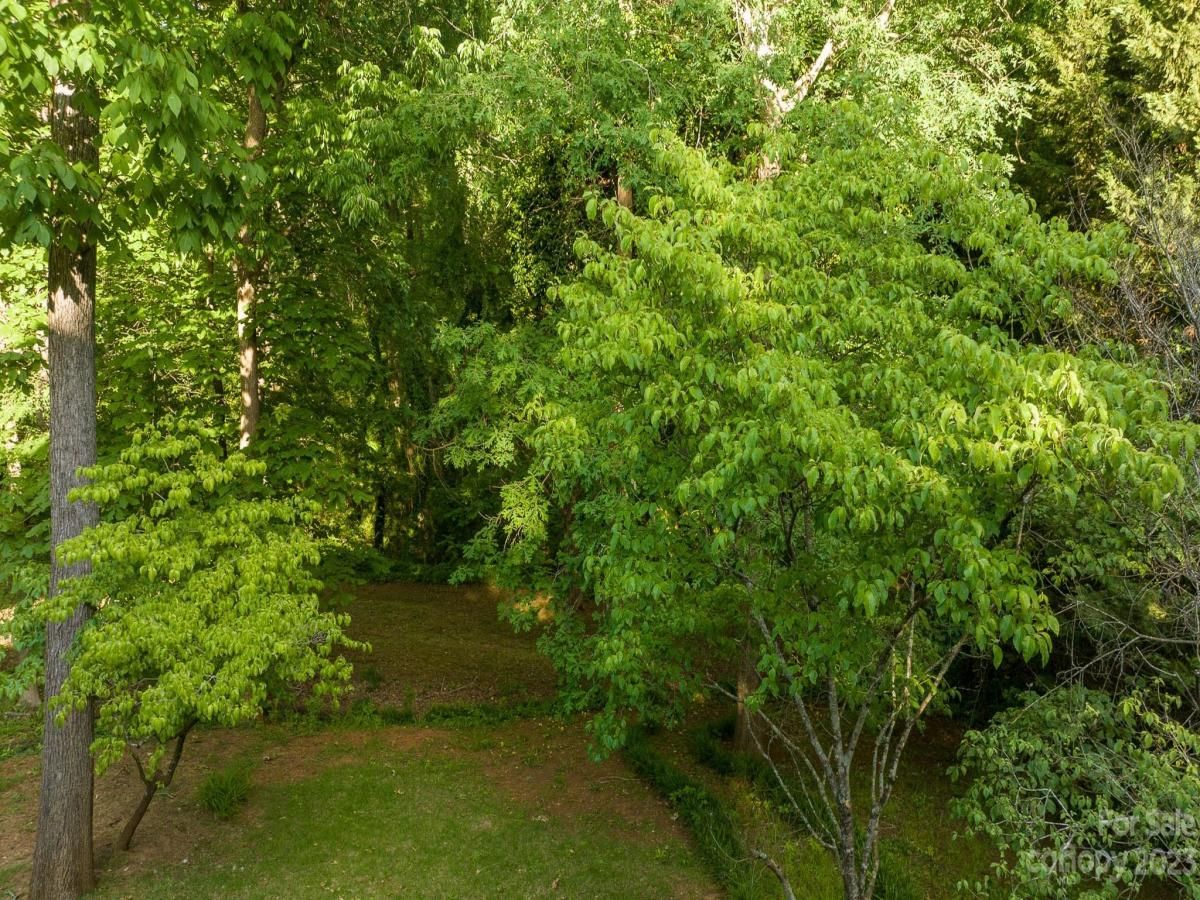 MLS #CAR4029172 image #2