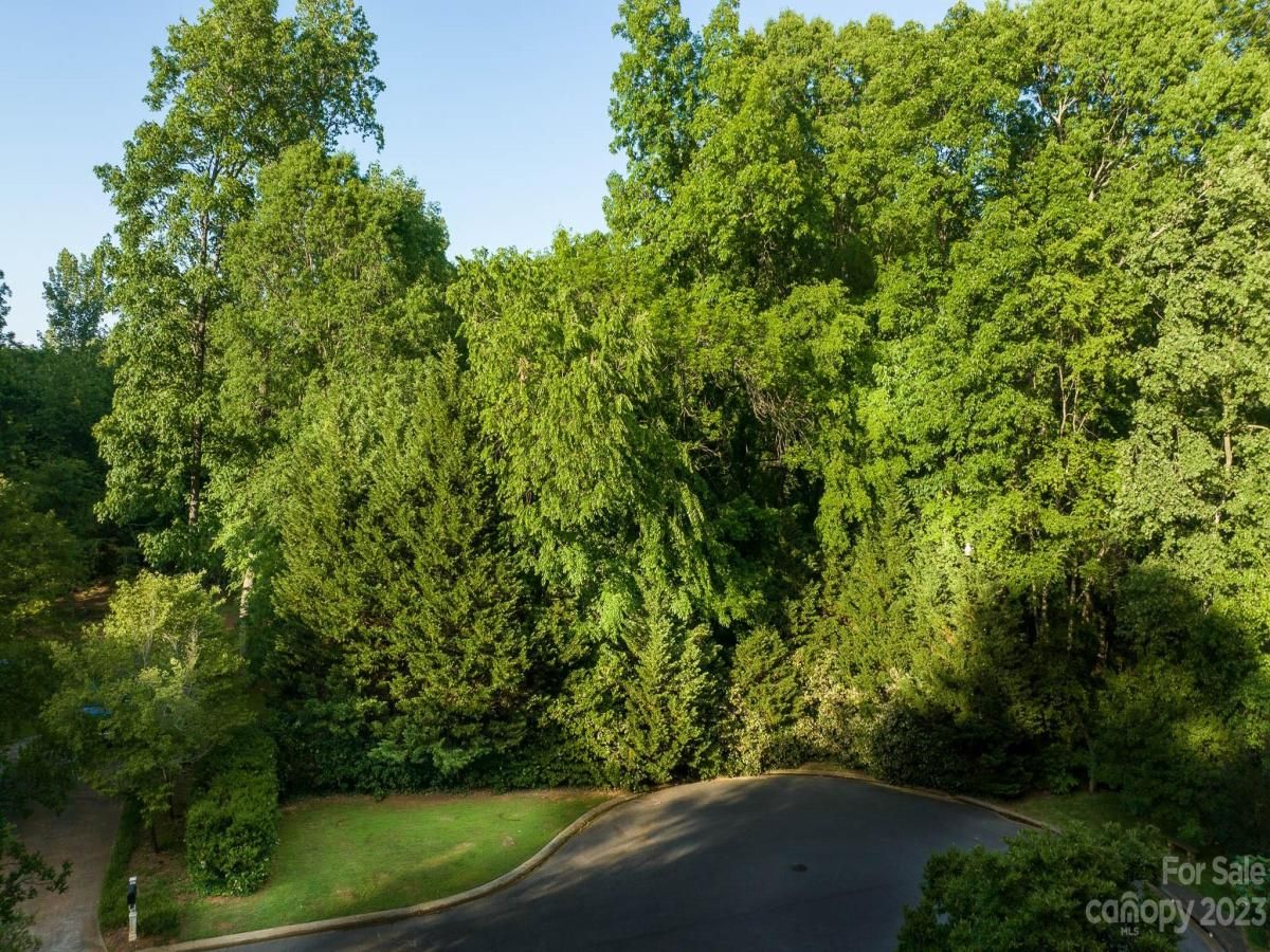 MLS #CAR4029172 image #4