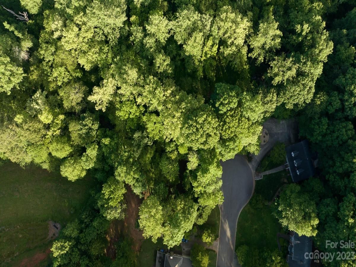 MLS #CAR4029172 image #7