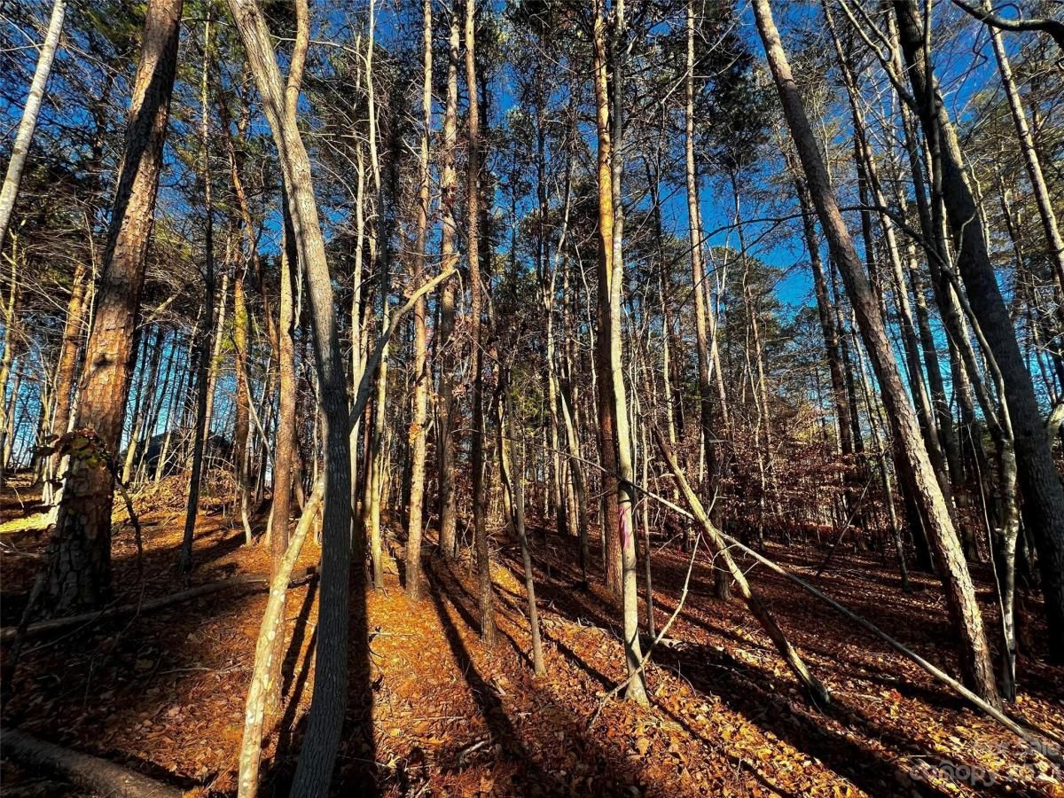 MLS #CAR4029331 image #1