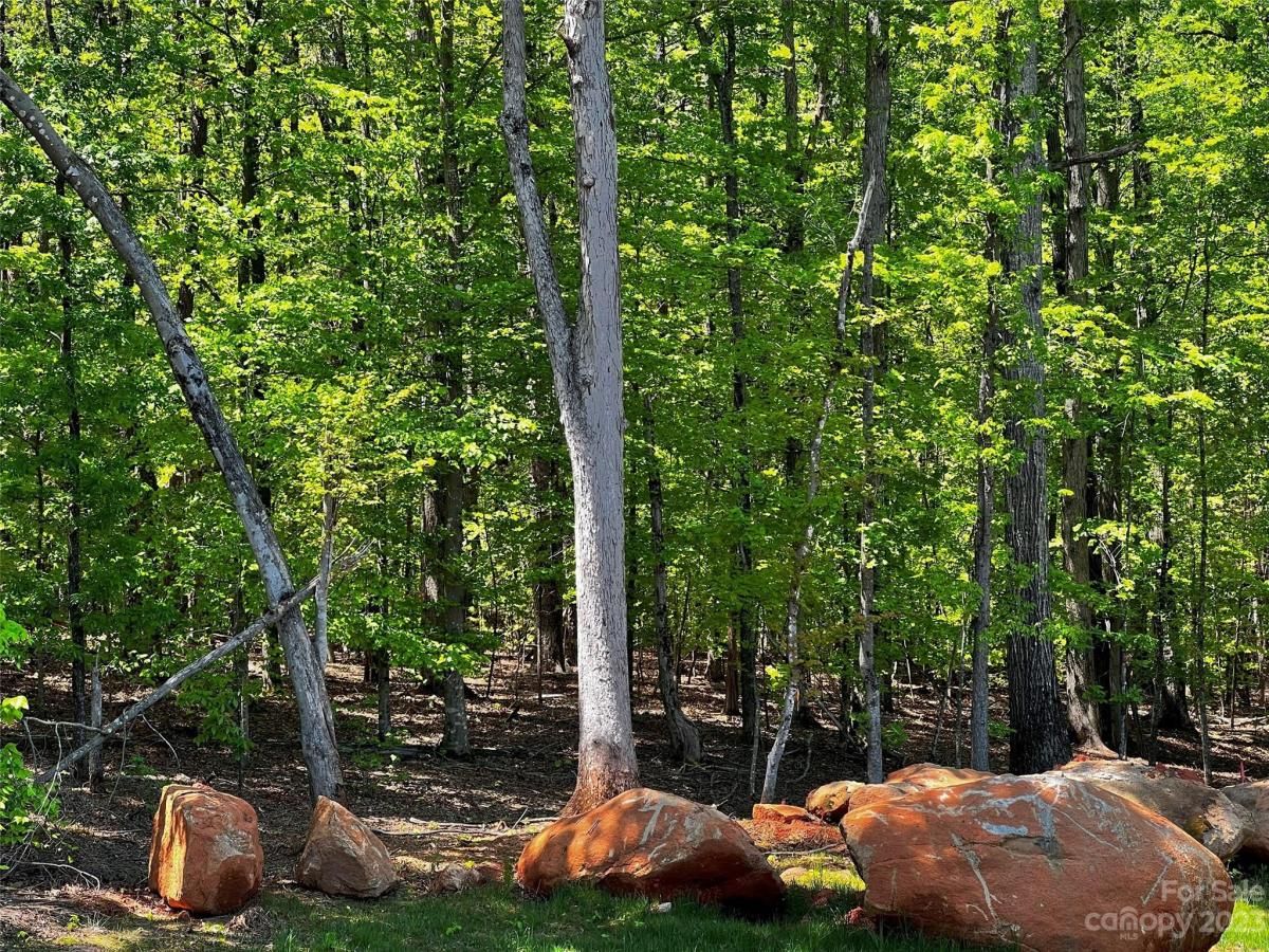 MLS #CAR4029331 image #13