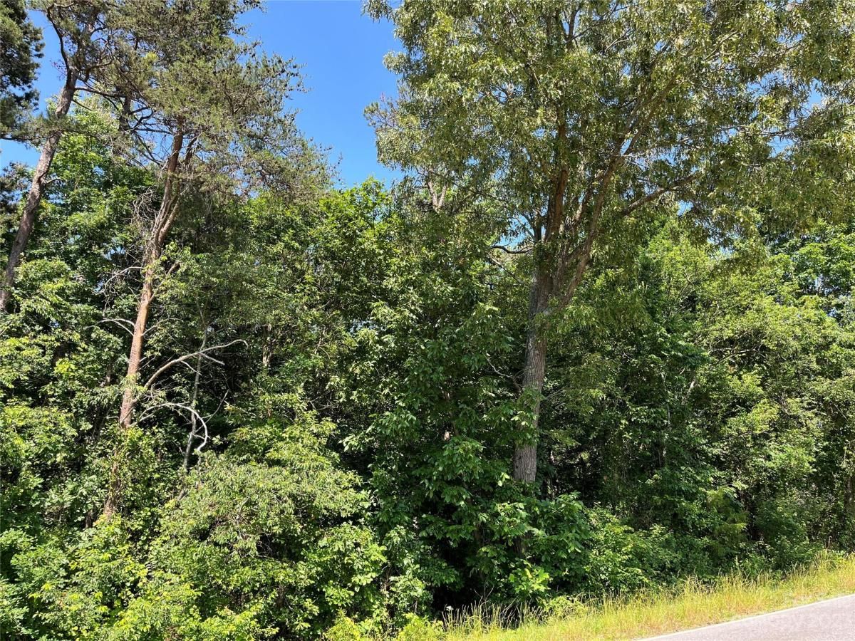 MLS #CAR4035150 image #17