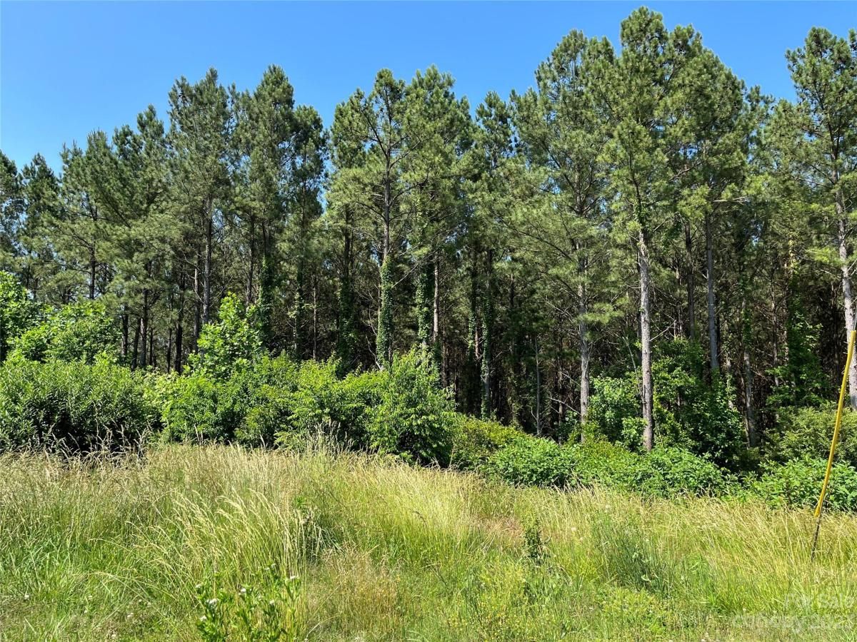 MLS #CAR4035150 image #20