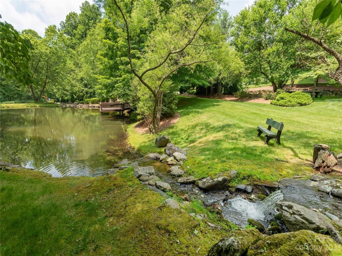 MLS #CAR4039201 image #11