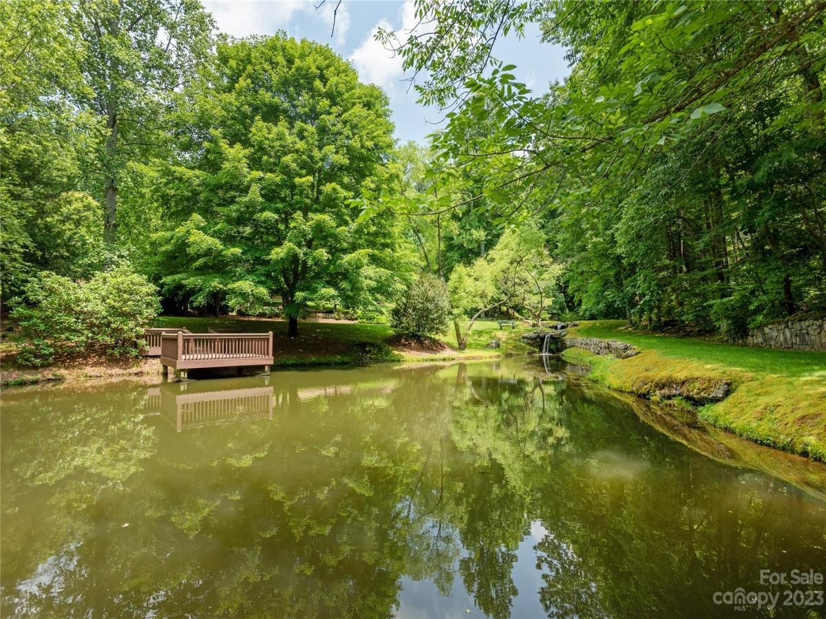 MLS #CAR4039201 image #13