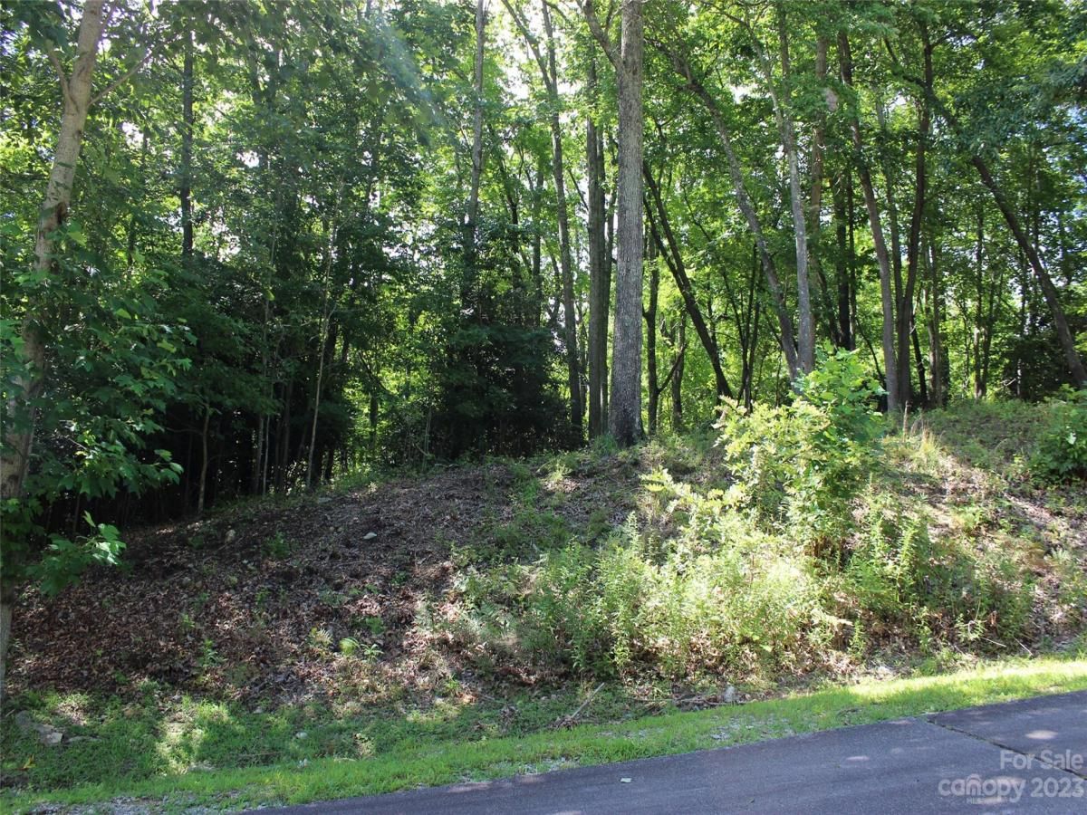 MLS #CAR4039201 image #17