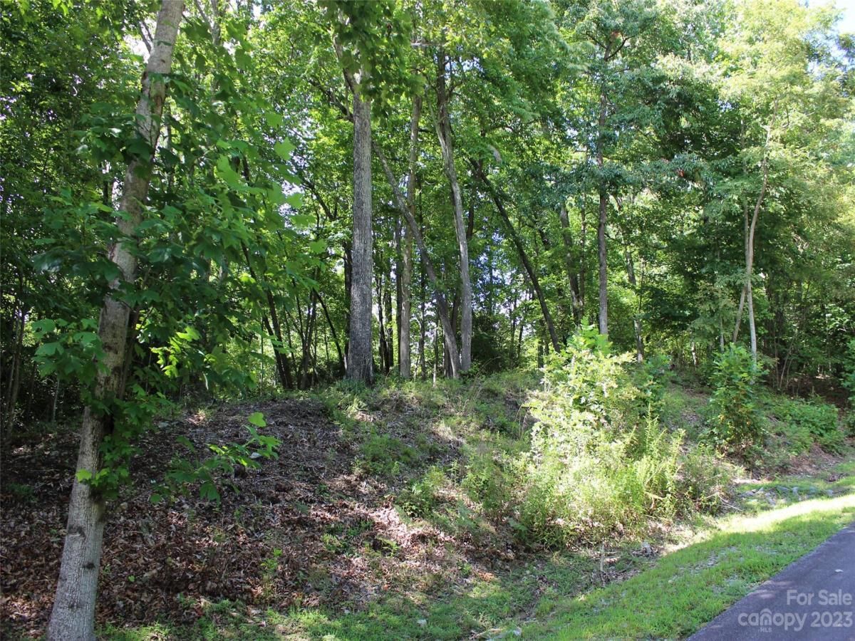 MLS #CAR4039201 image #18