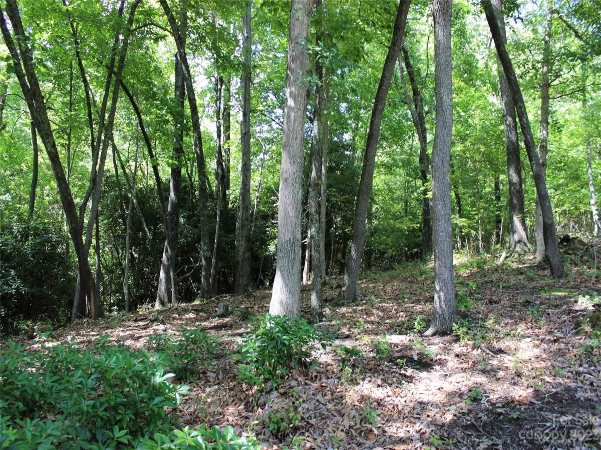 MLS #CAR4039201 image #19