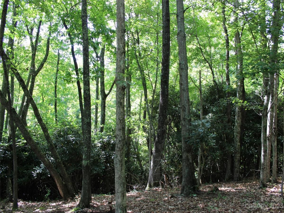 MLS #CAR4039201 image #20