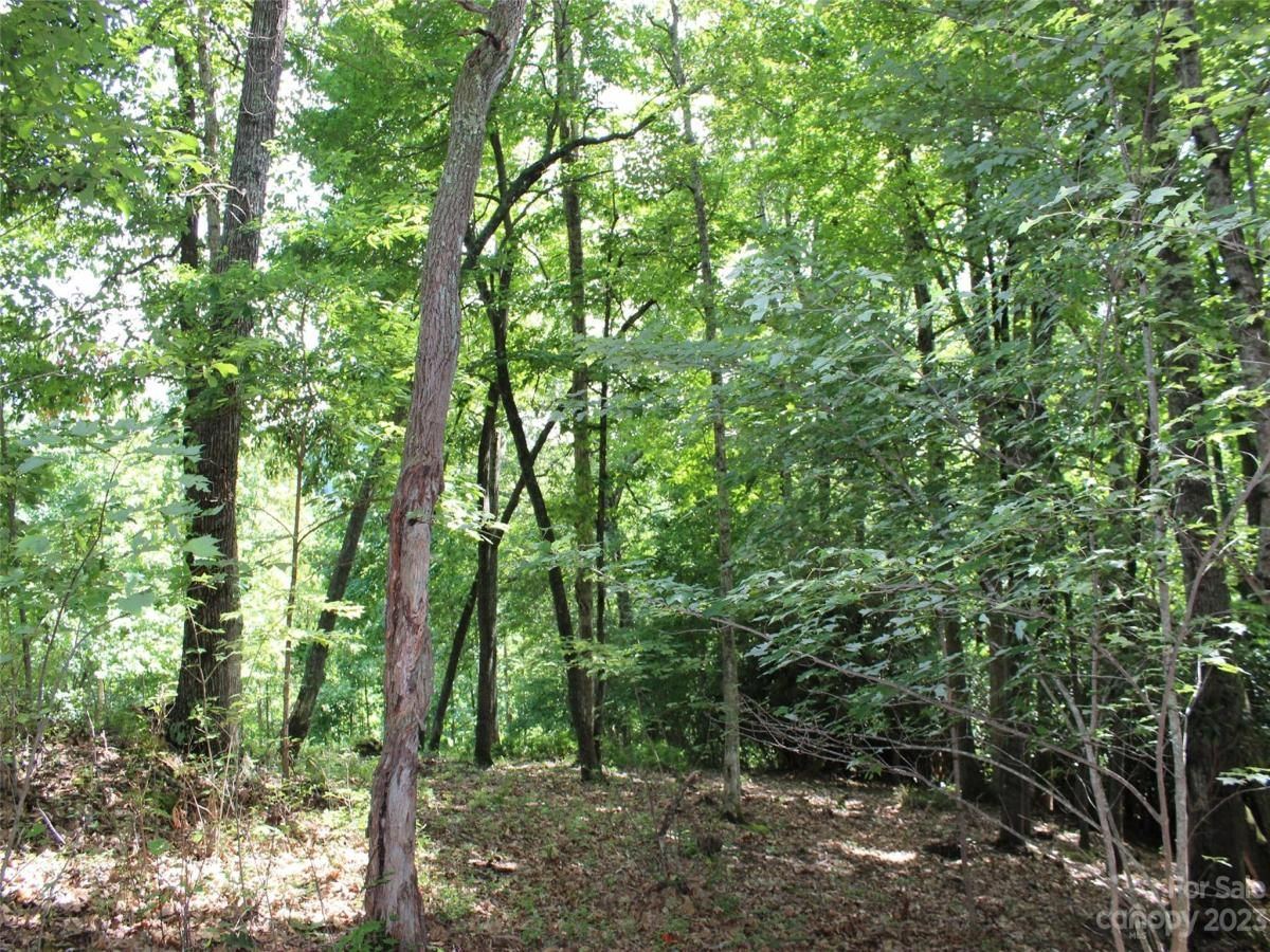 MLS #CAR4039201 image #21