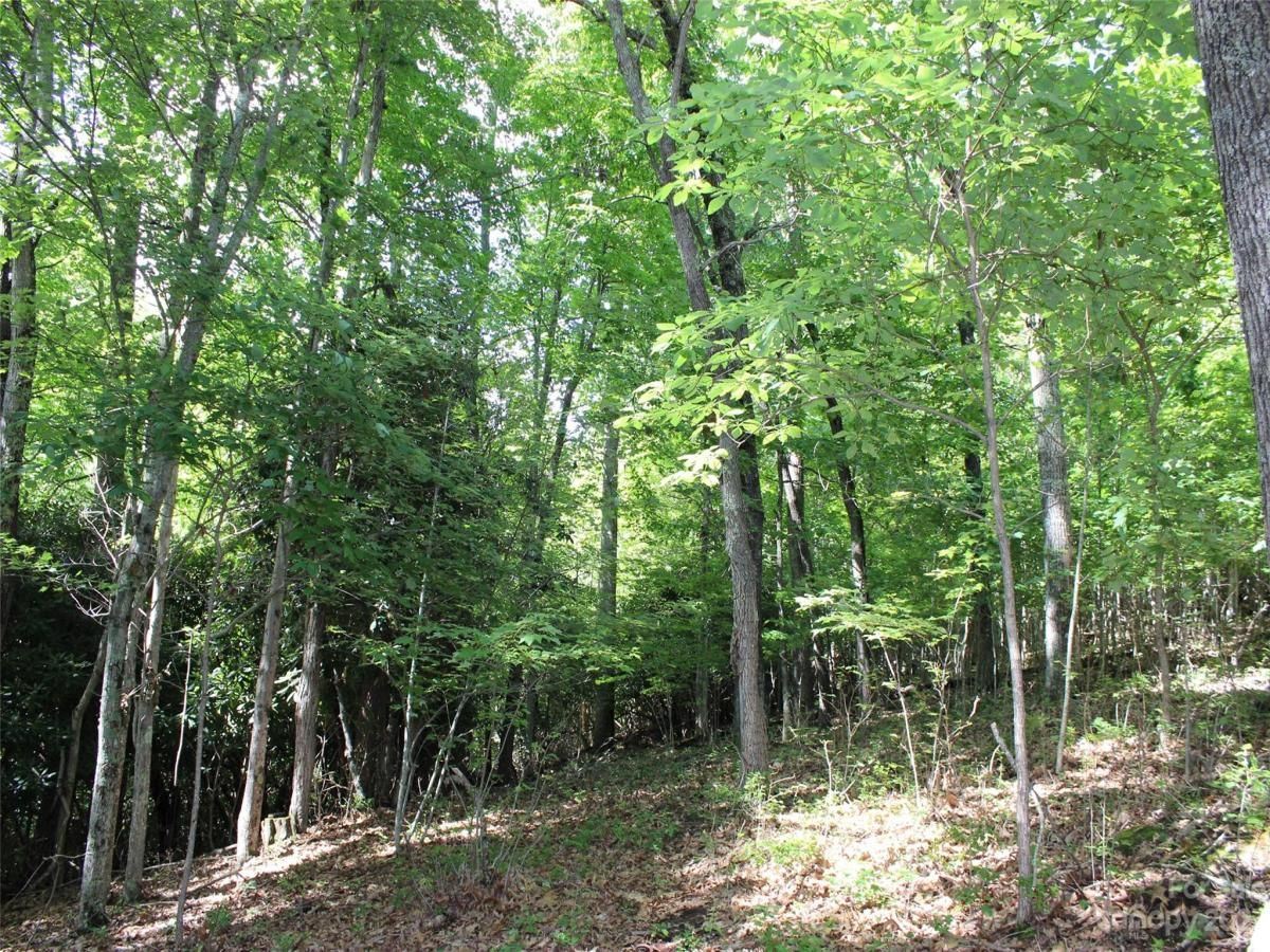 MLS #CAR4039201 image #22