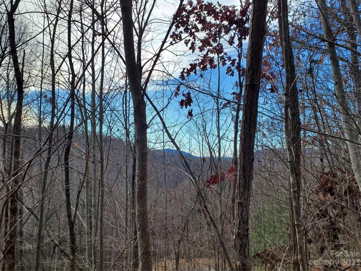 MLS #CAR4039201 image #23