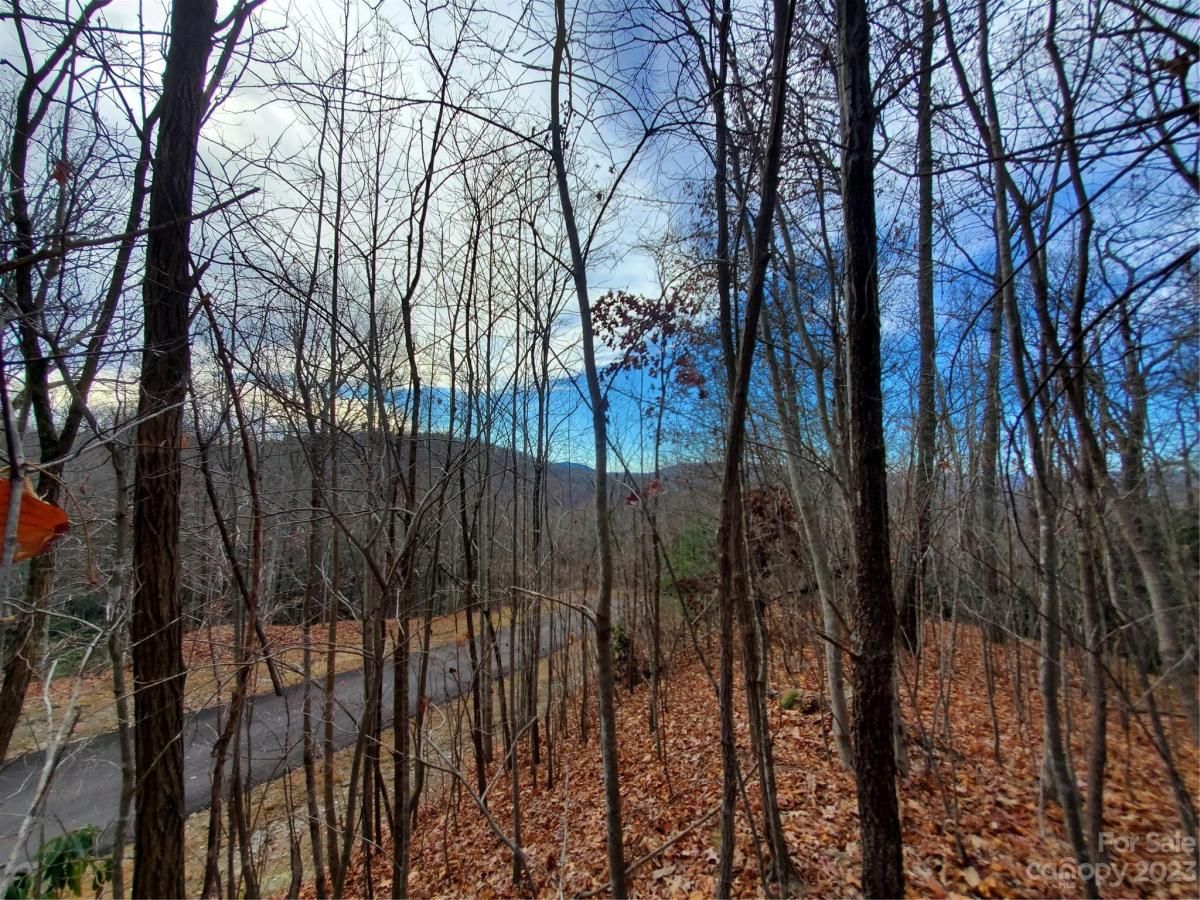 MLS #CAR4039201 image #24