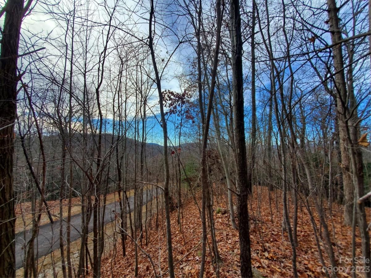 MLS #CAR4039201 image #25