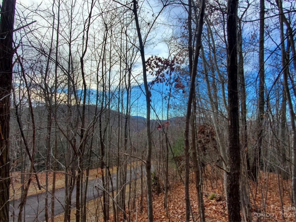 MLS #CAR4039201 image #26