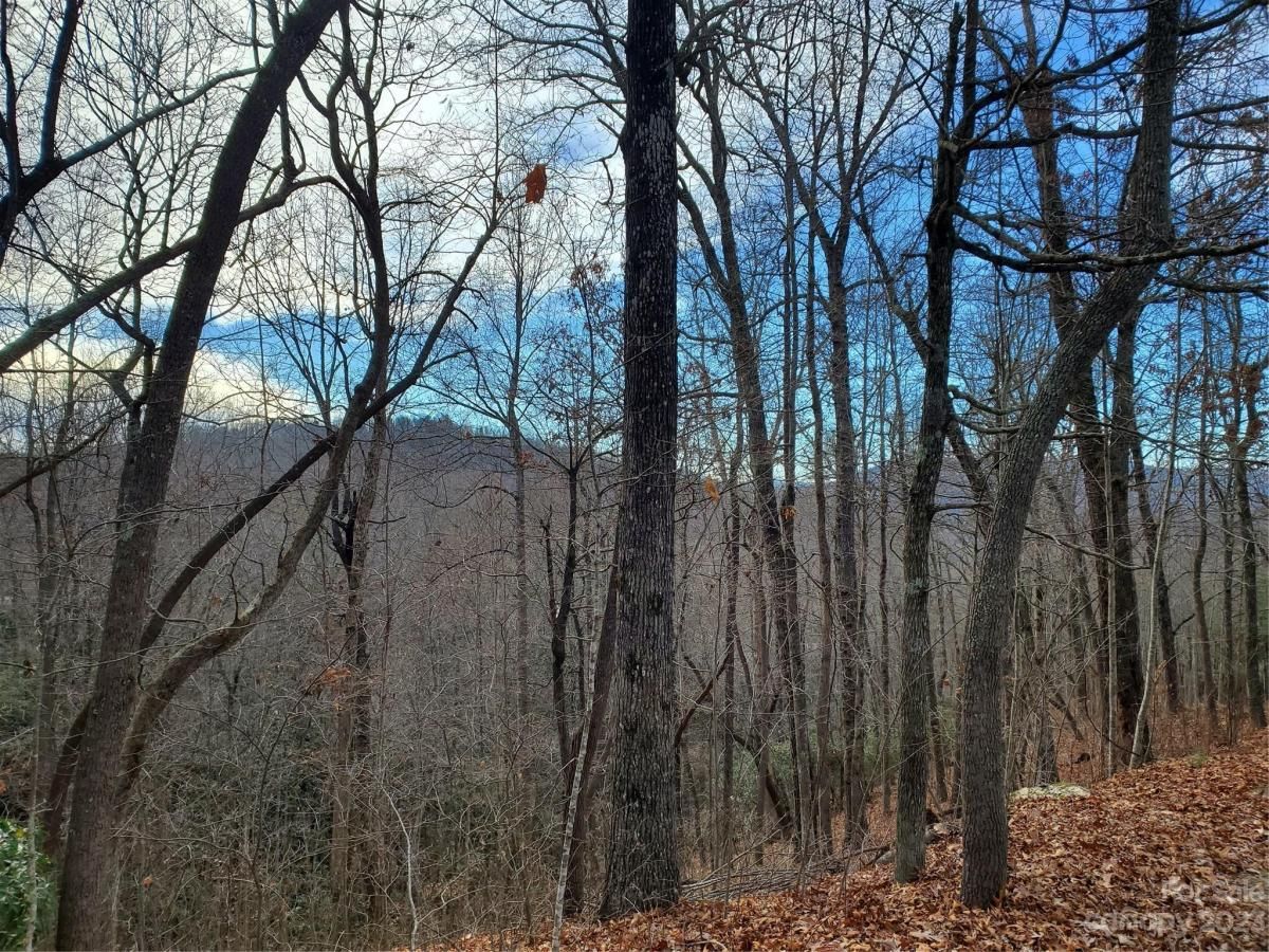 MLS #CAR4039201 image #27