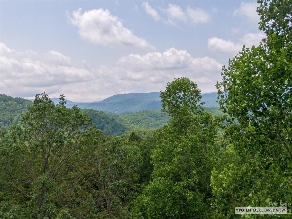 MLS #CAR4039201 image #3