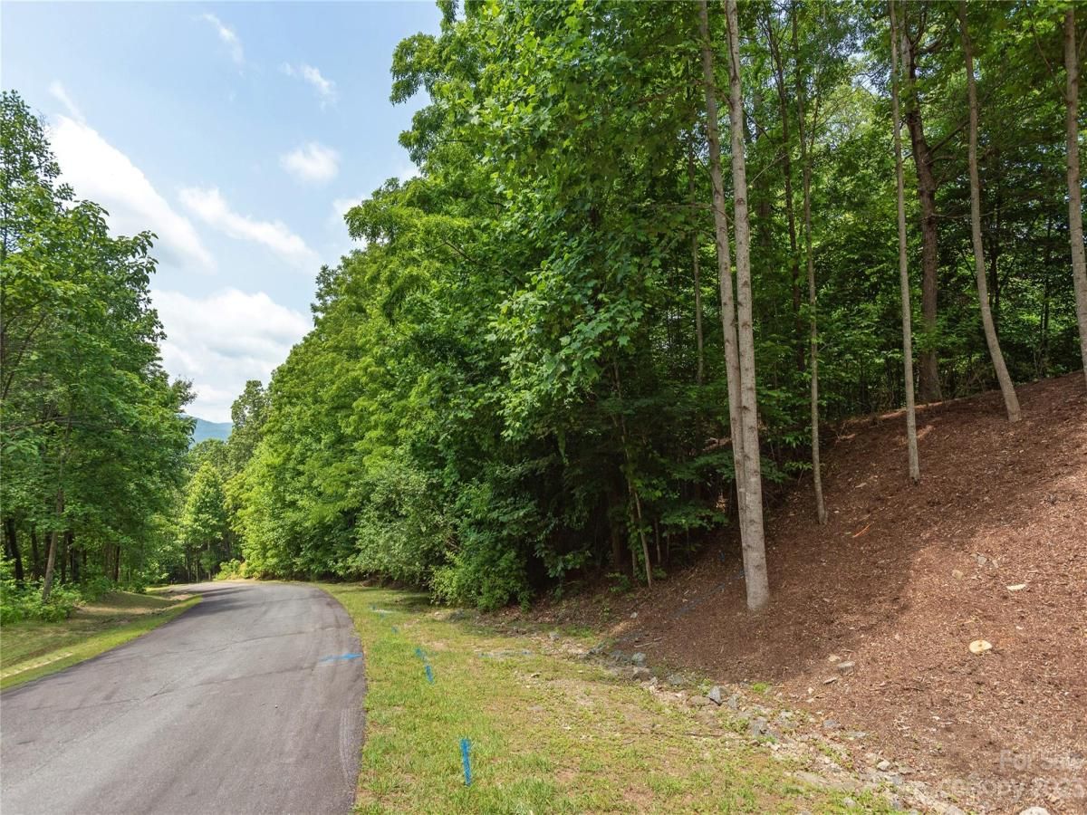 MLS #CAR4039201 image #4