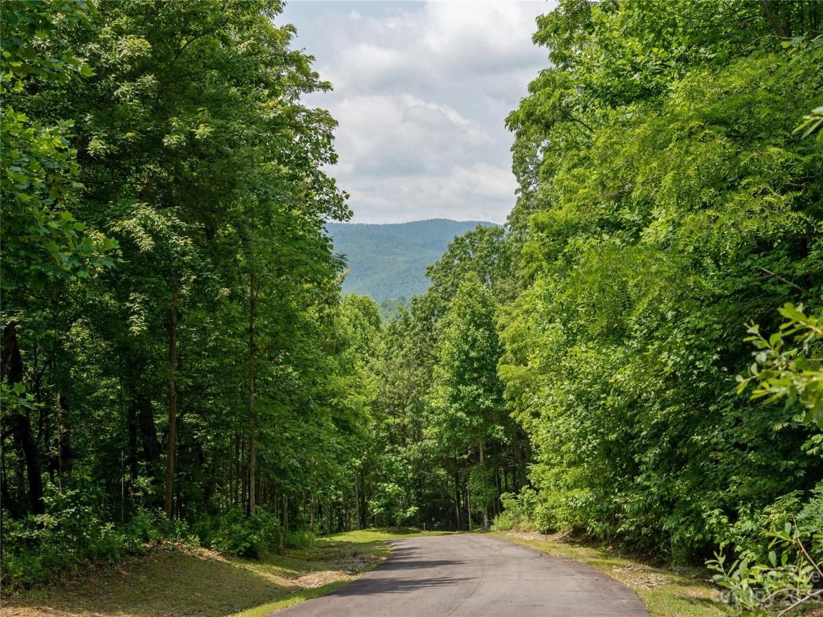 MLS #CAR4039201 image #5