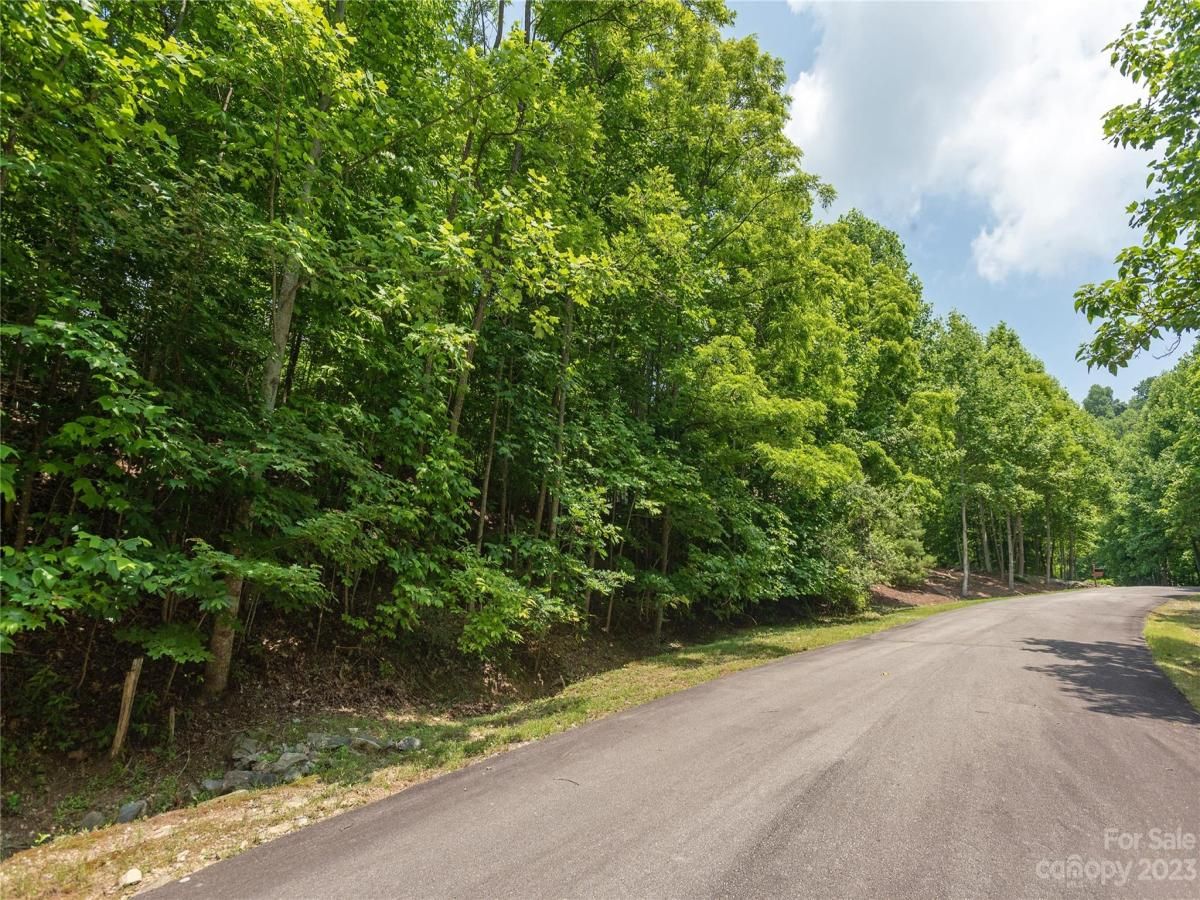 MLS #CAR4039201 image #6