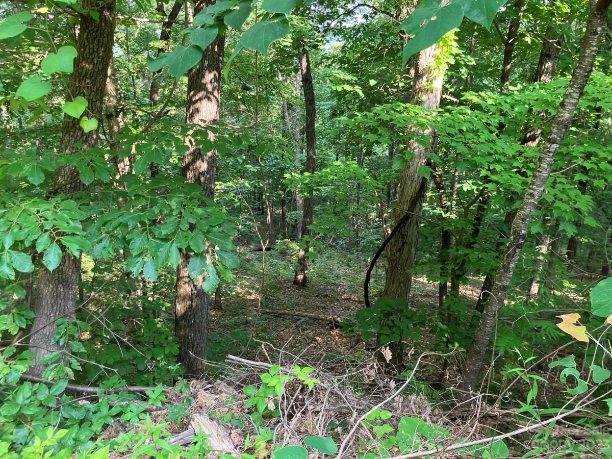 MLS #CAR4039615 image #2