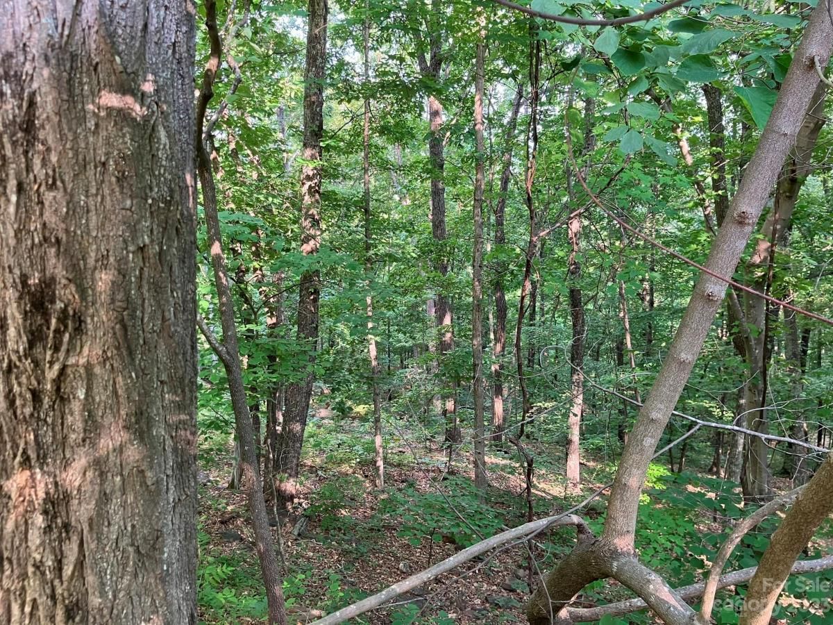 MLS #CAR4039615 image #3