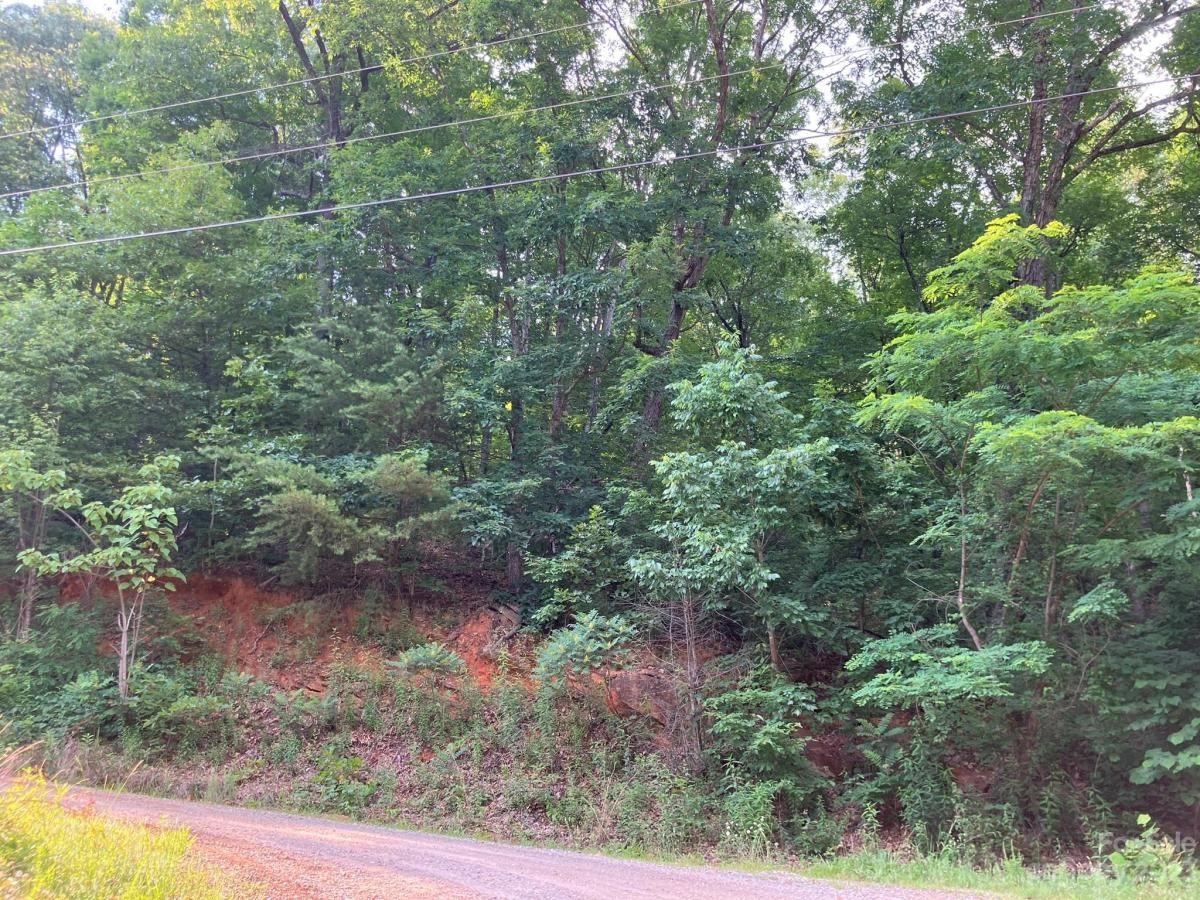 MLS #CAR4039615 image #4