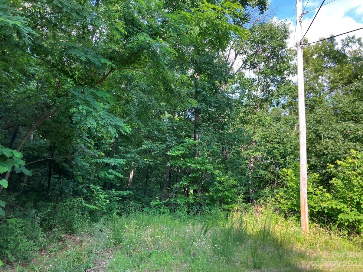 MLS #CAR4039615 image #5