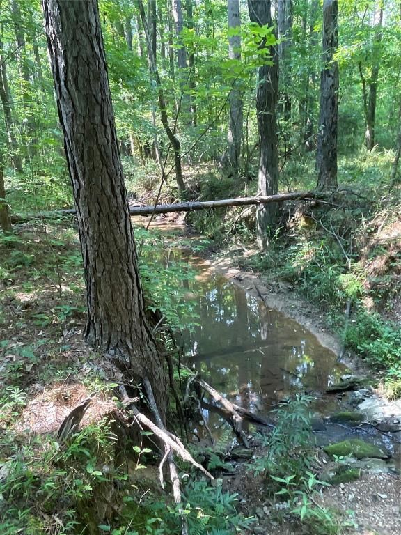 MLS #CAR4039643 image #28