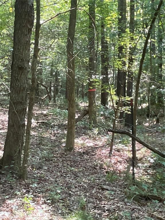 MLS #CAR4039643 image #29