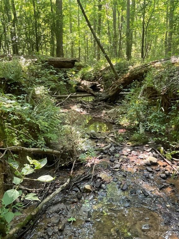 MLS #CAR4039643 image #30