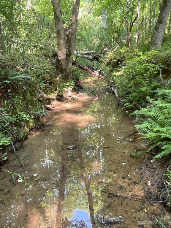 MLS #CAR4039643 image #31