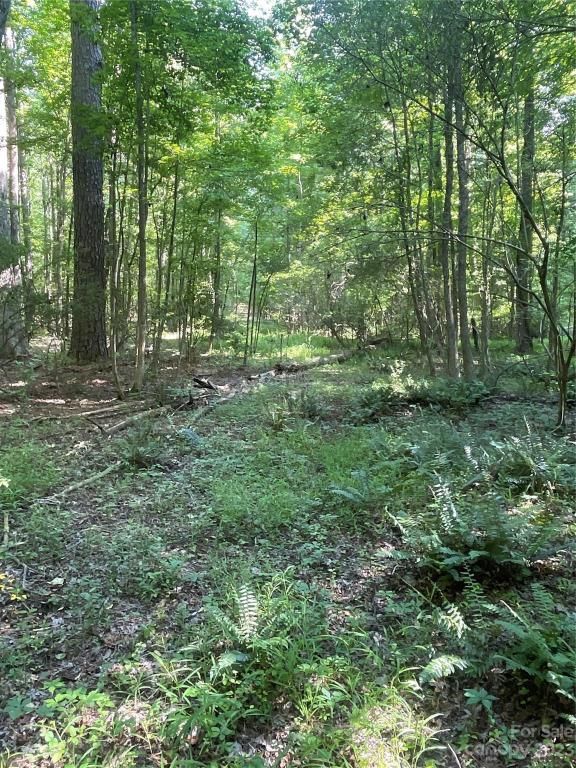 MLS #CAR4039643 image #32