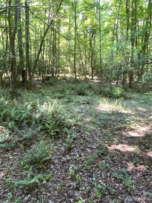 MLS #CAR4039643 image #33