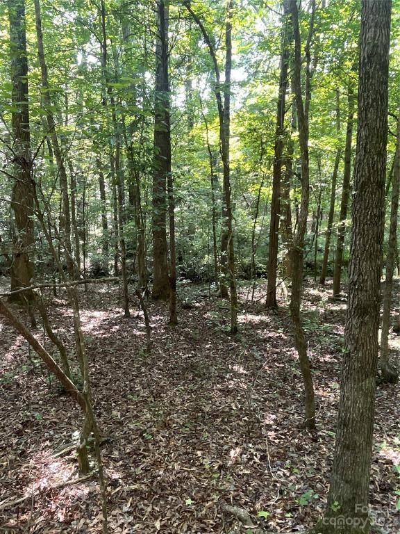 MLS #CAR4039643 image #34